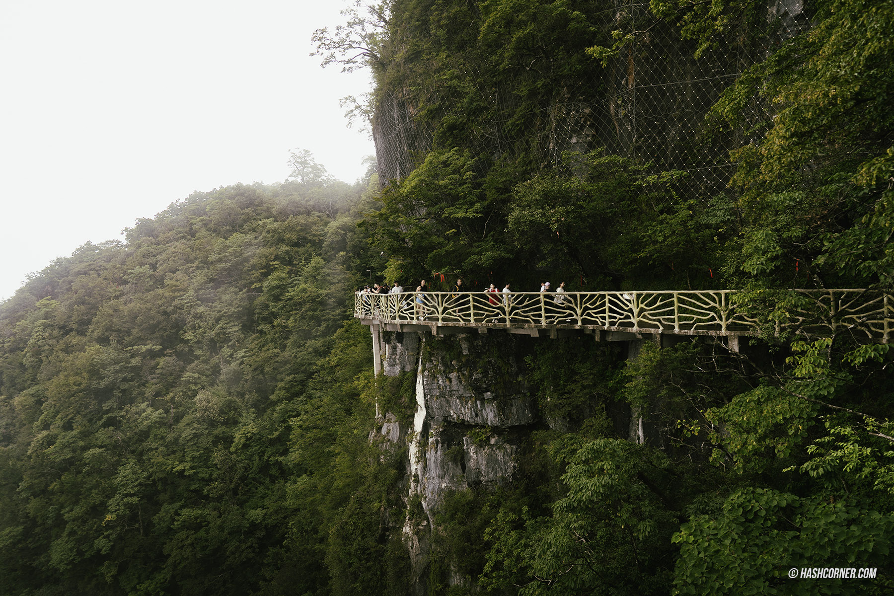 รีวิว เขาเทียนเหมินซาน (Tianmenshan) x จางเจียเจี้ย ประตูสวรรค์ศักดิสิทธิ์