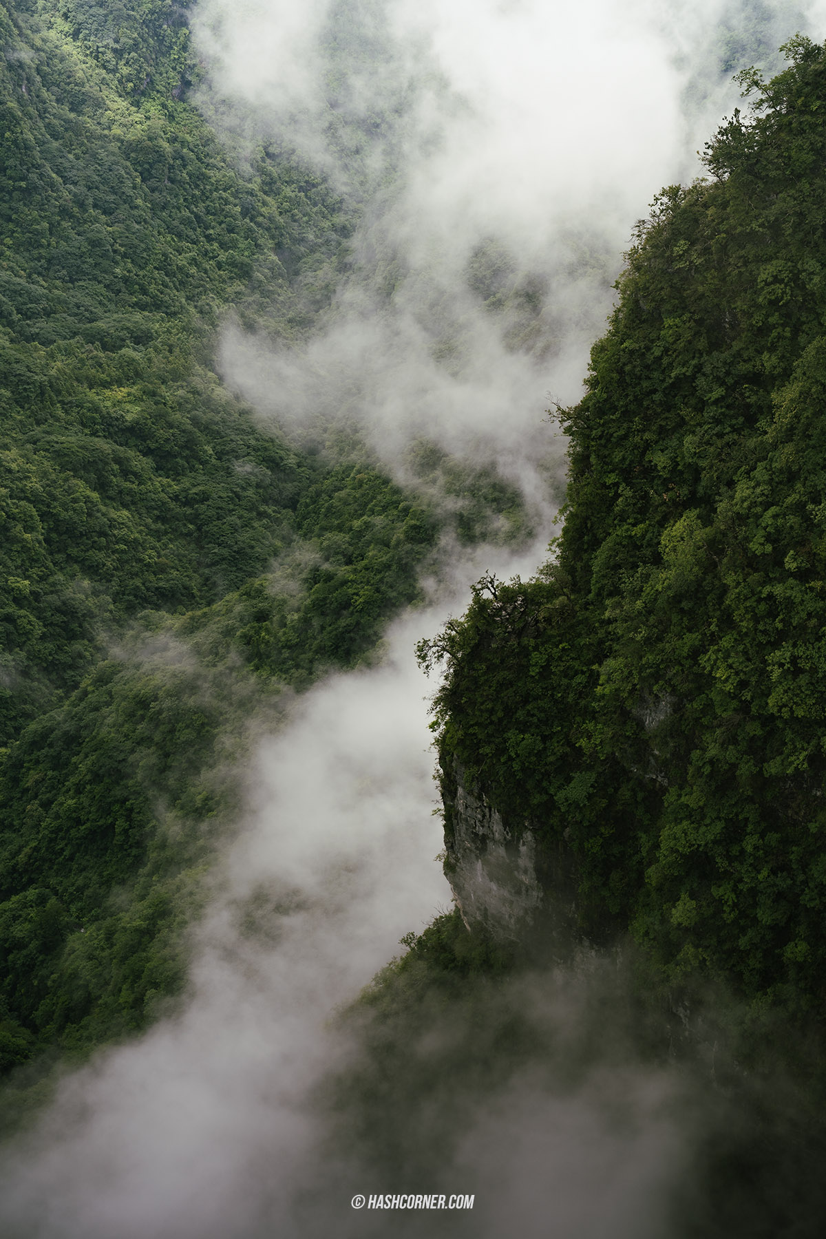 รีวิว เขาเทียนเหมินซาน (Tianmenshan) x จางเจียเจี้ย ประตูสวรรค์ศักดิสิทธิ์