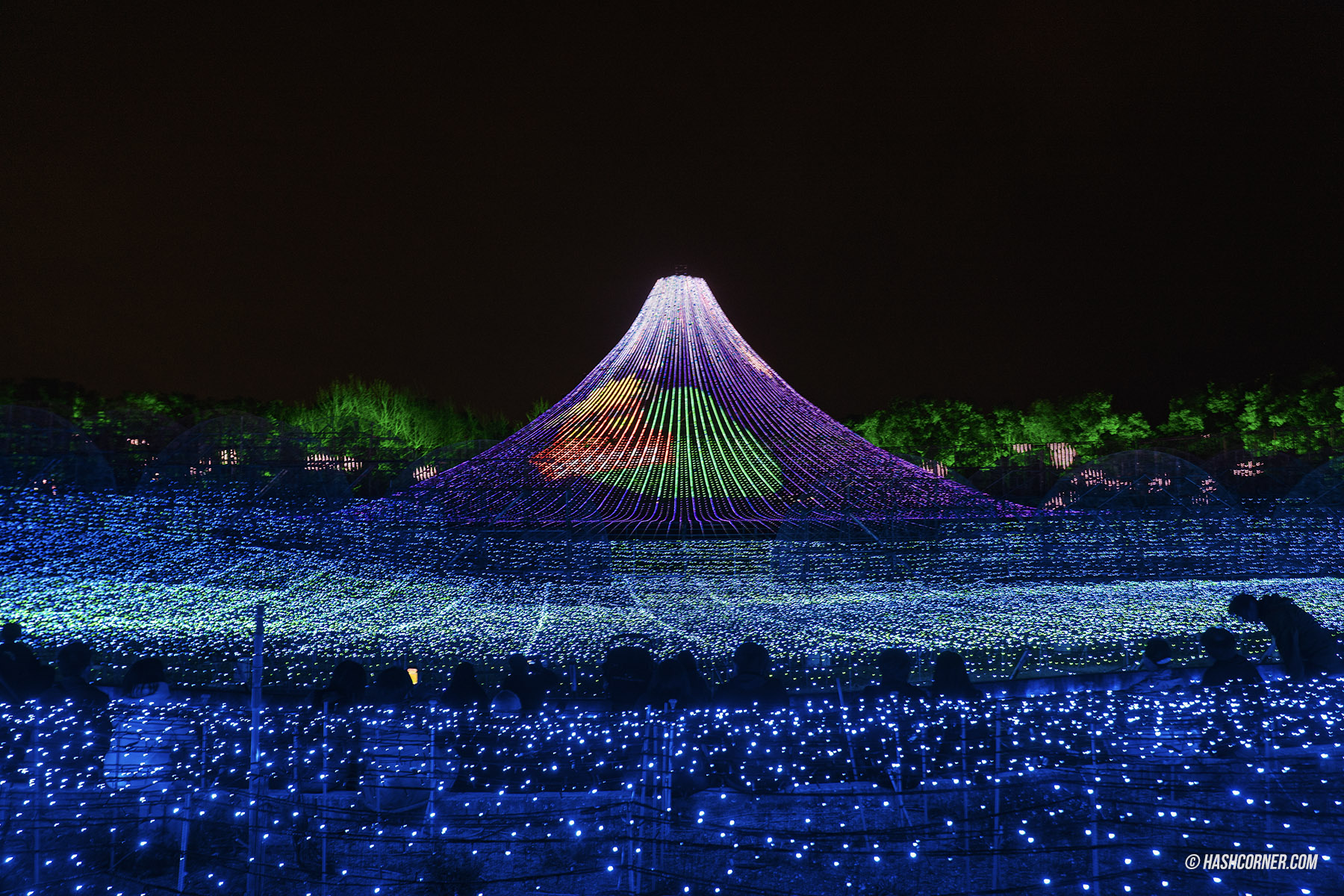 รีวิว นาโกย่า (Nagoya) x ญี่ปุ่น เที่ยวเมืองซามูไร ฤดูซากุระ