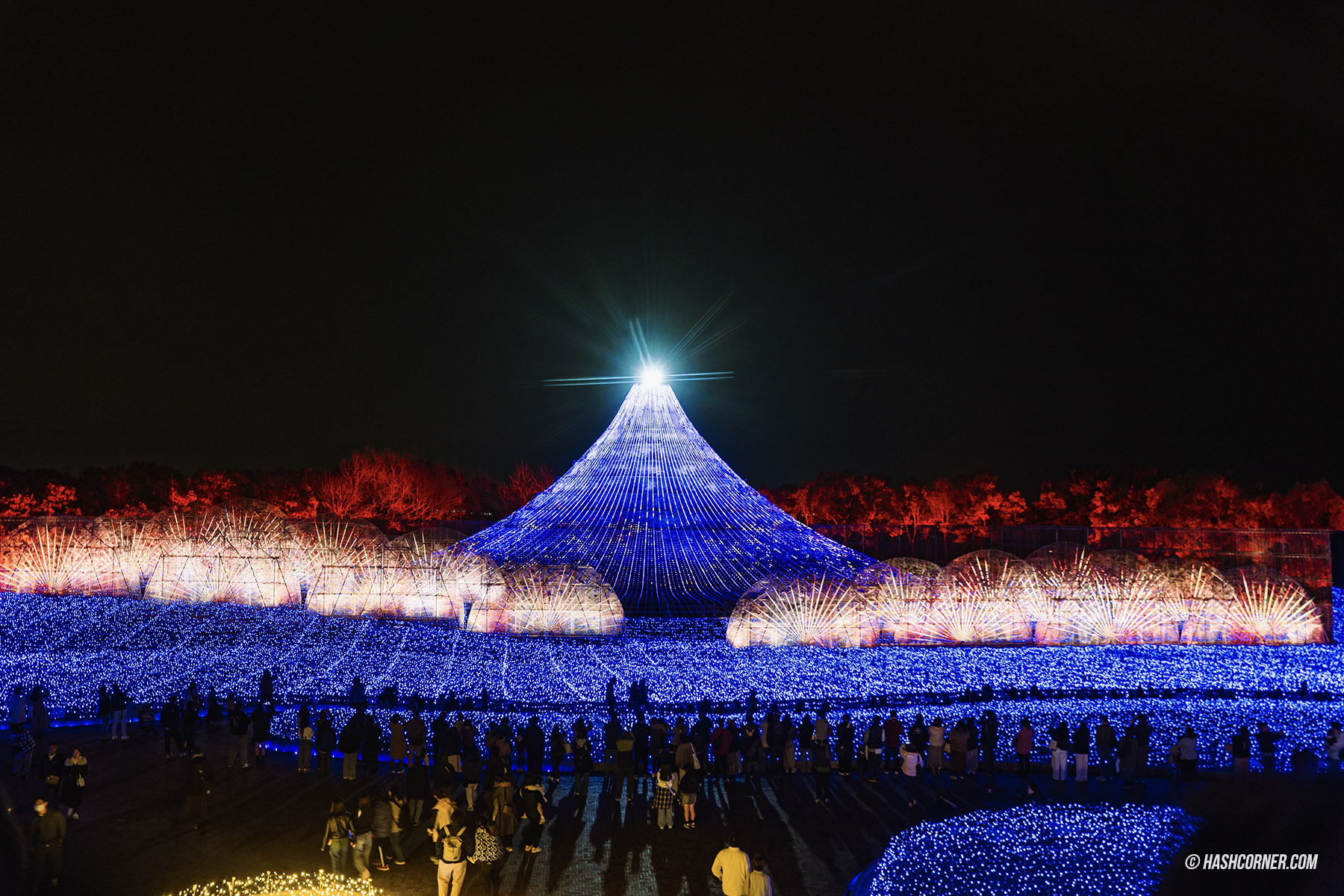 รีวิว นาโกย่า (Nagoya) x ญี่ปุ่น เที่ยวเมืองซามูไร ฤดูซากุระ