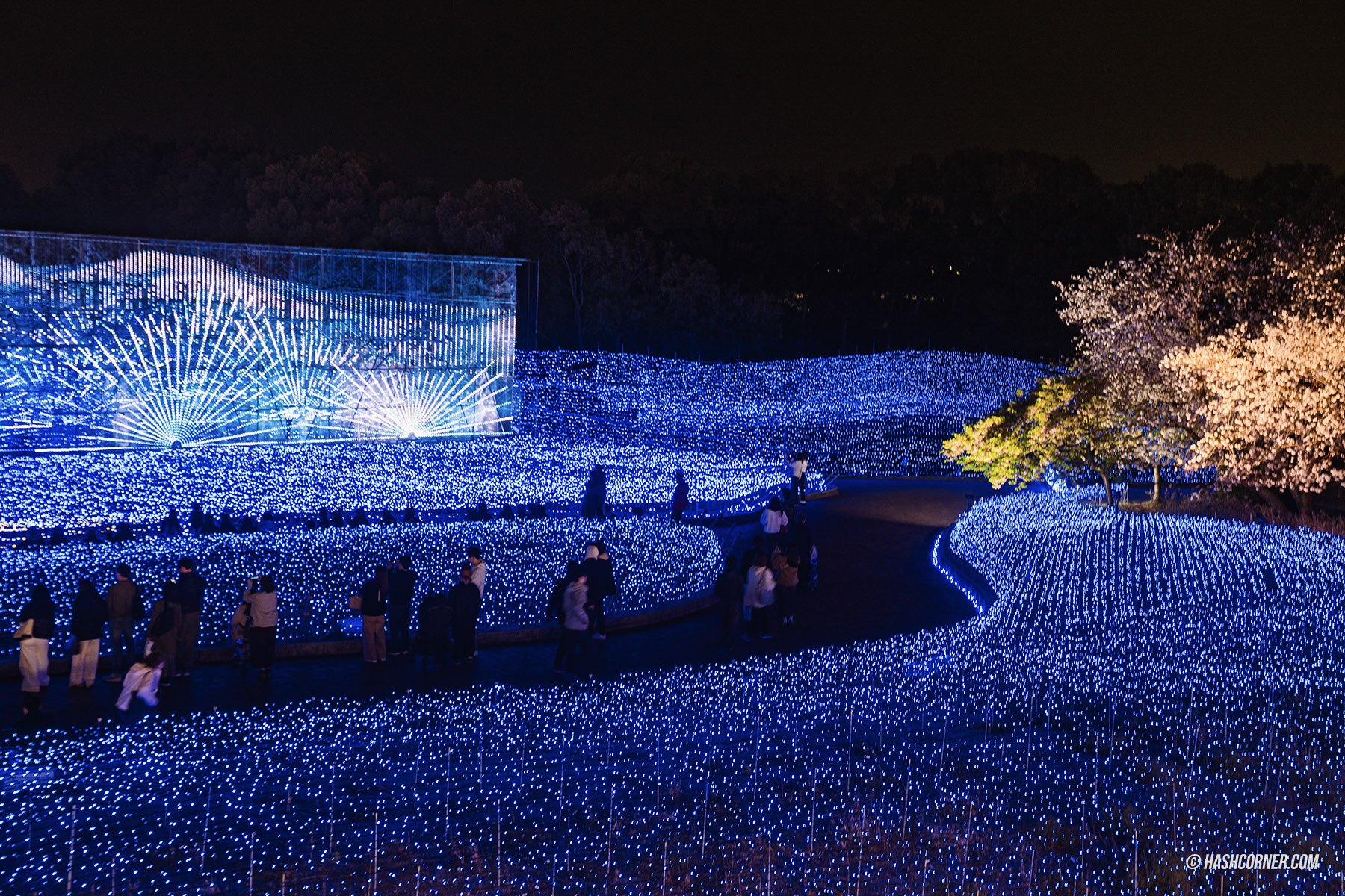 รีวิว นาโกย่า (Nagoya) x ญี่ปุ่น เที่ยวเมืองซามูไร ฤดูซากุระ