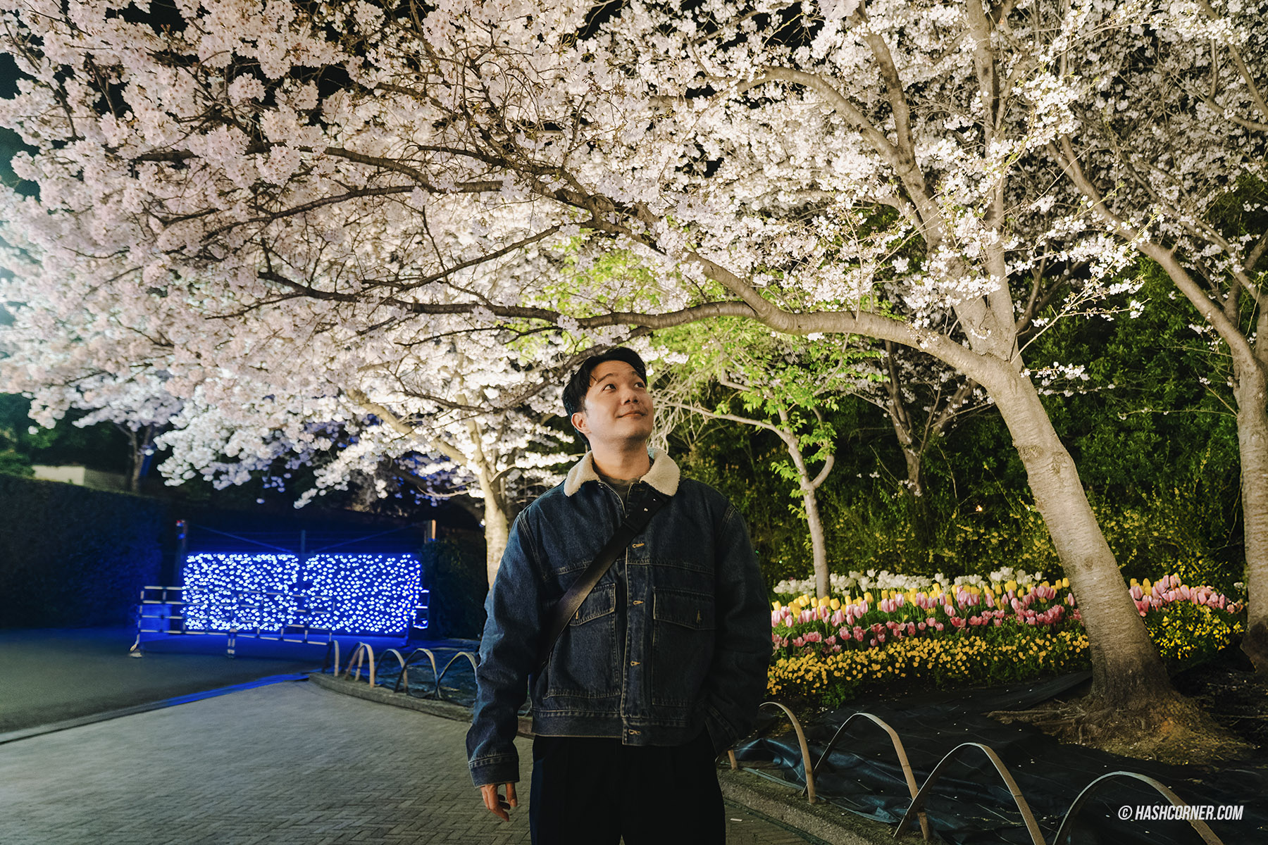 รีวิว นาโกย่า (Nagoya) x ญี่ปุ่น เที่ยวเมืองซามูไร ฤดูซากุระ