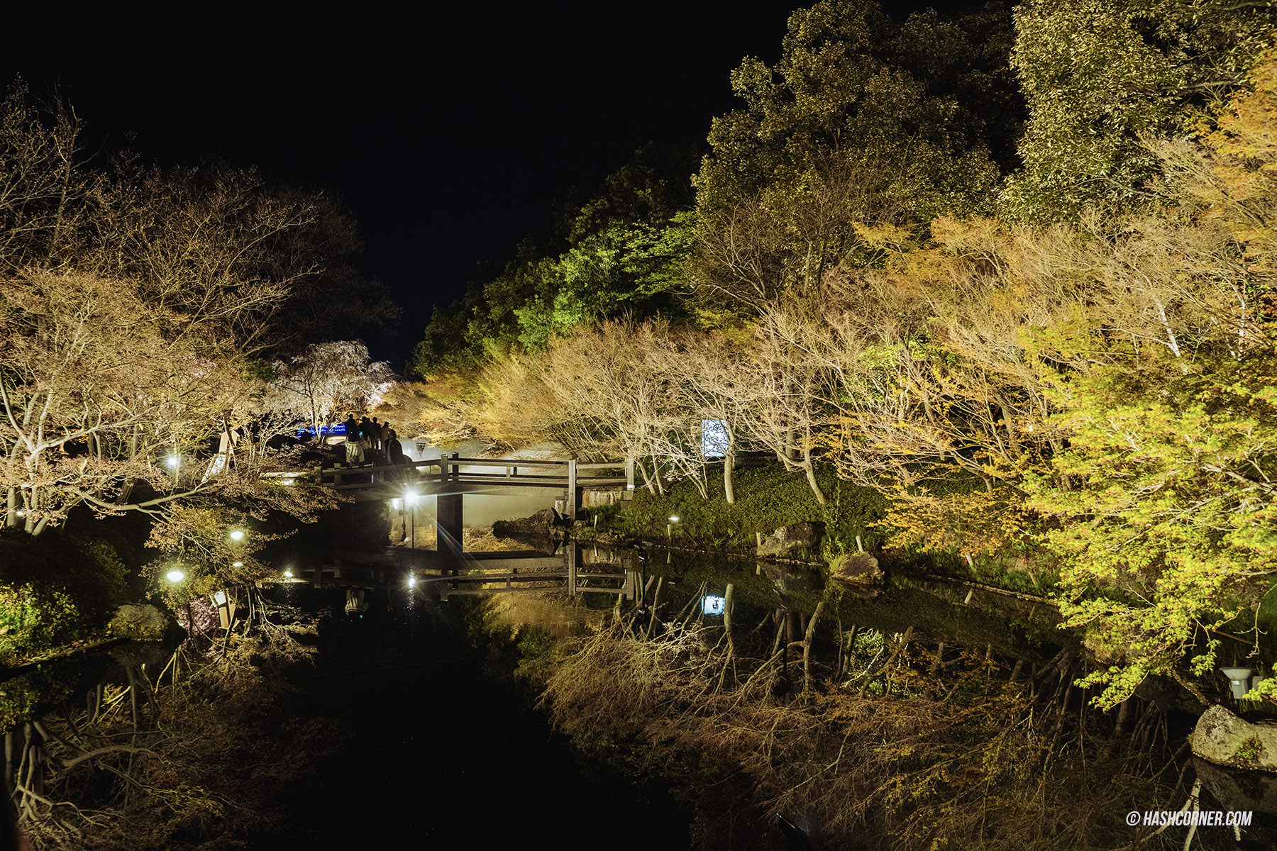 รีวิว นาโกย่า (Nagoya) x ญี่ปุ่น เที่ยวเมืองซามูไร ฤดูซากุระ