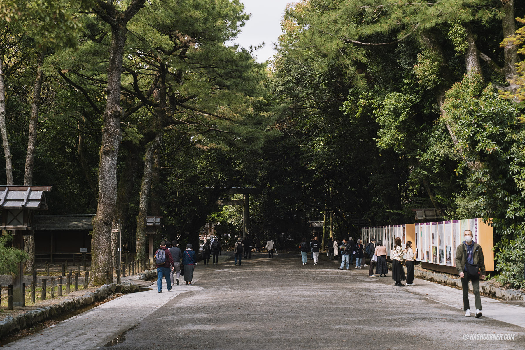 รีวิว นาโกย่า (Nagoya) x ญี่ปุ่น เที่ยวเมืองซามูไร ฤดูซากุระ