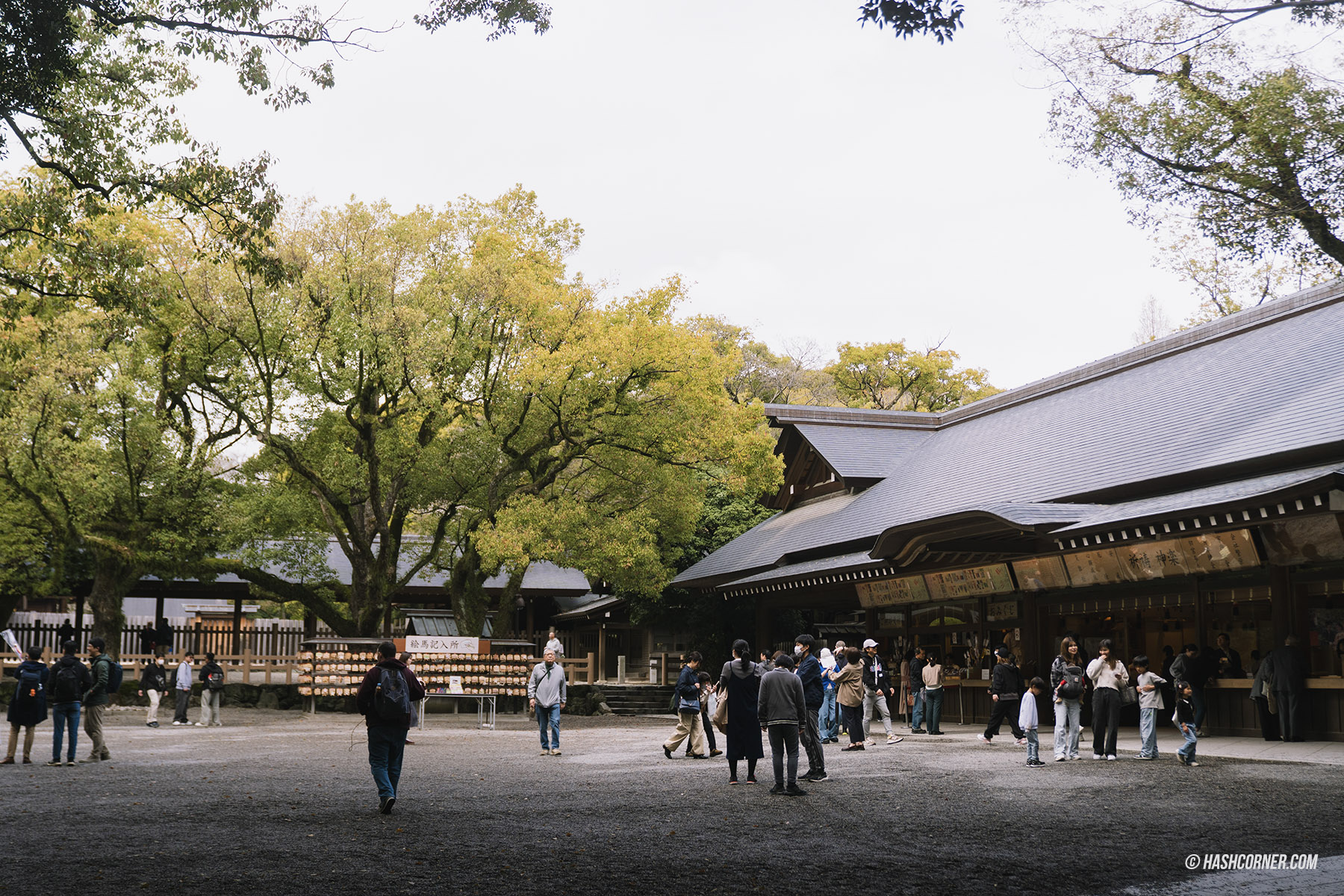 รีวิว นาโกย่า (Nagoya) x ญี่ปุ่น เที่ยวเมืองซามูไร ฤดูซากุระ