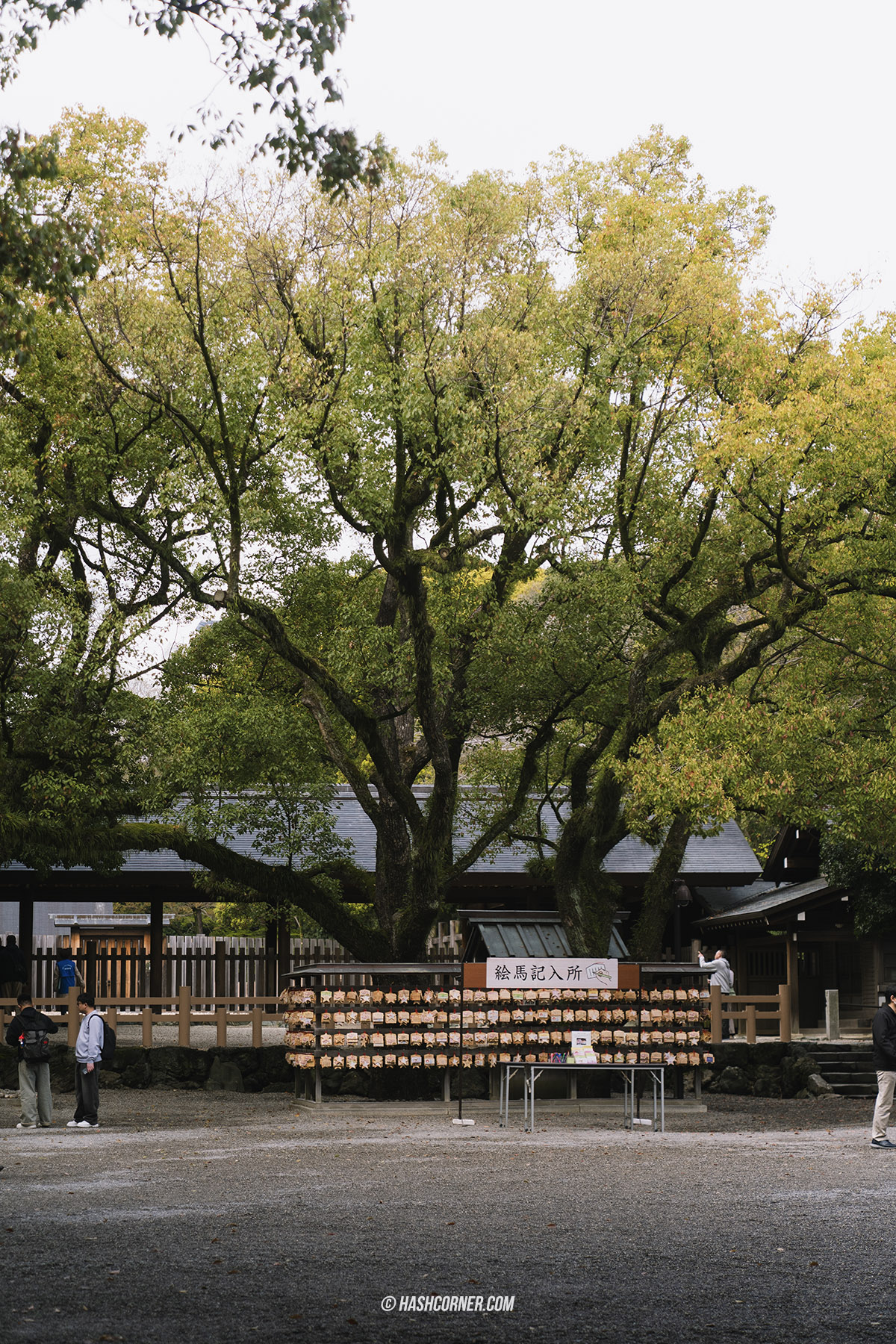 รีวิว นาโกย่า (Nagoya) x ญี่ปุ่น เที่ยวเมืองซามูไร ฤดูซากุระ