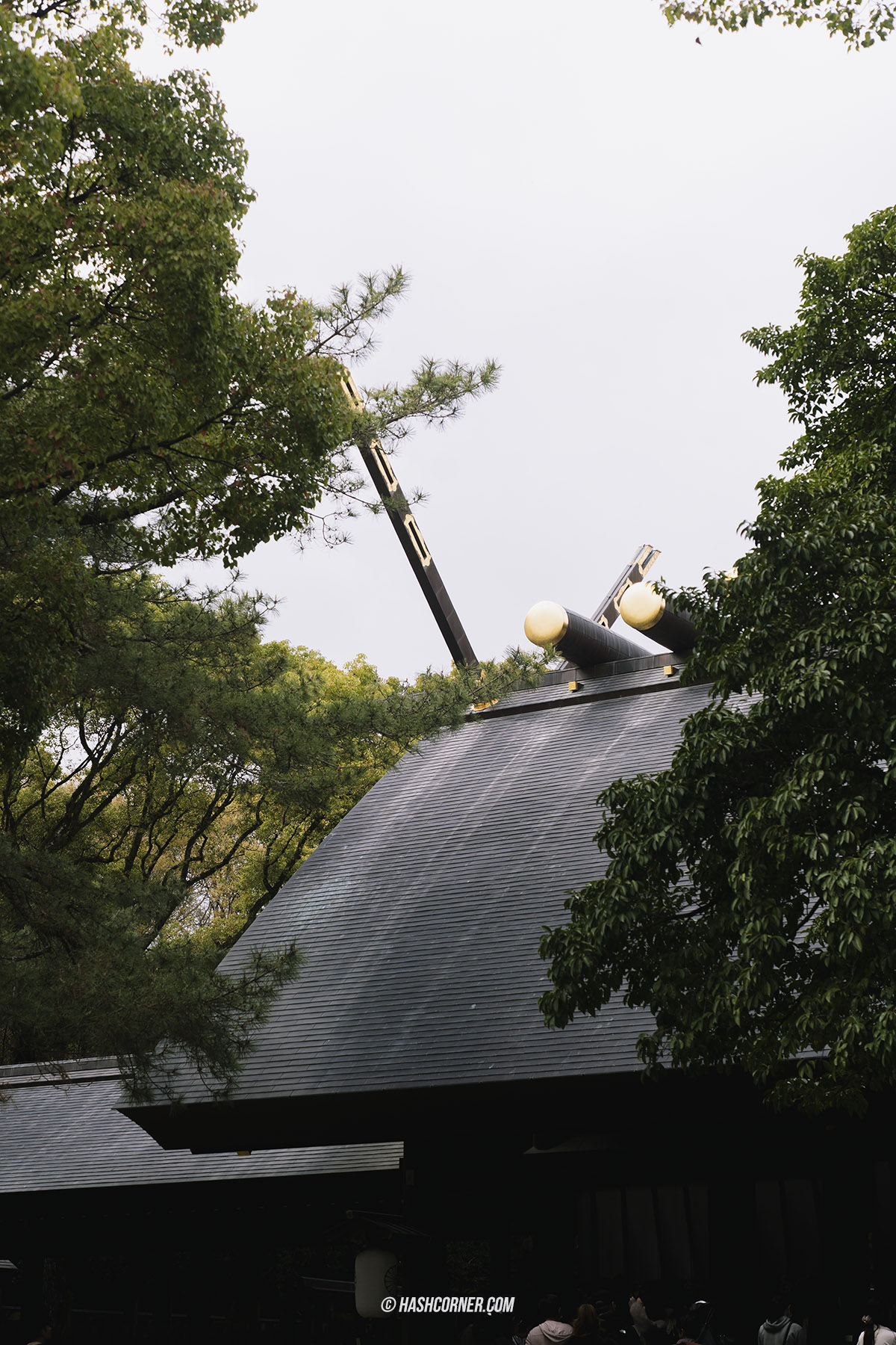 รีวิว นาโกย่า (Nagoya) x ญี่ปุ่น เที่ยวเมืองซามูไร ฤดูซากุระ