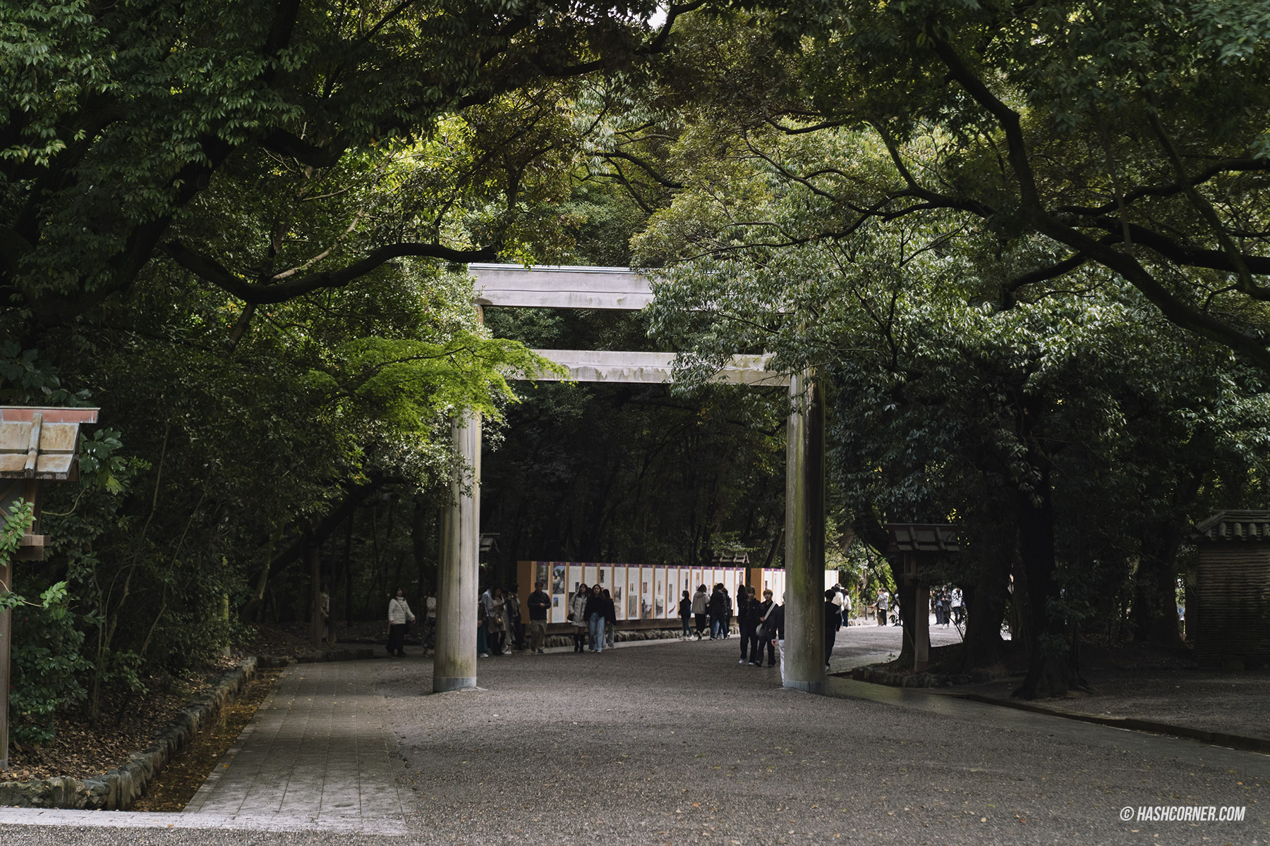 รีวิว นาโกย่า (Nagoya) x ญี่ปุ่น เที่ยวเมืองซามูไร ฤดูซากุระ