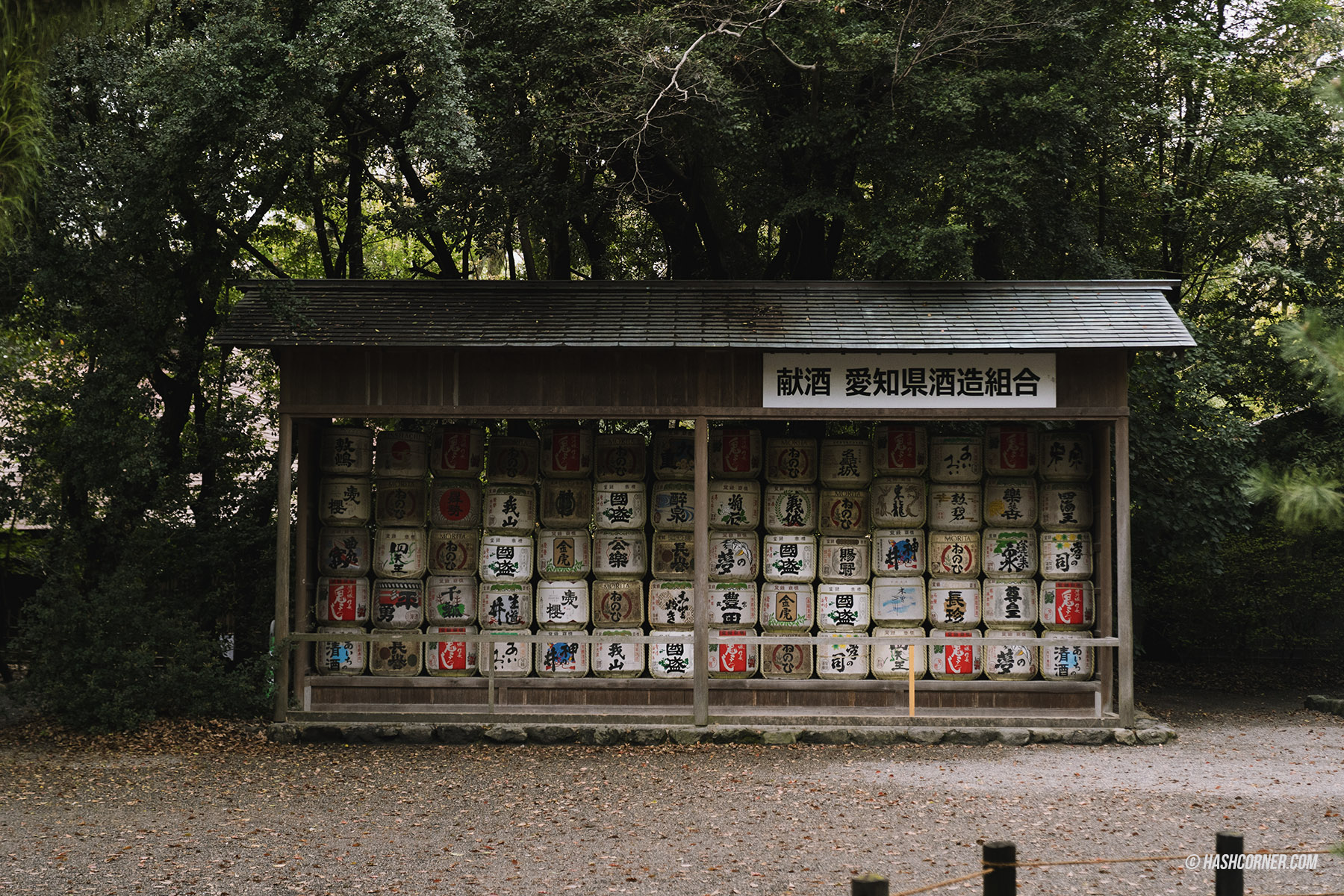 รีวิว นาโกย่า (Nagoya) x ญี่ปุ่น เที่ยวเมืองซามูไร ฤดูซากุระ