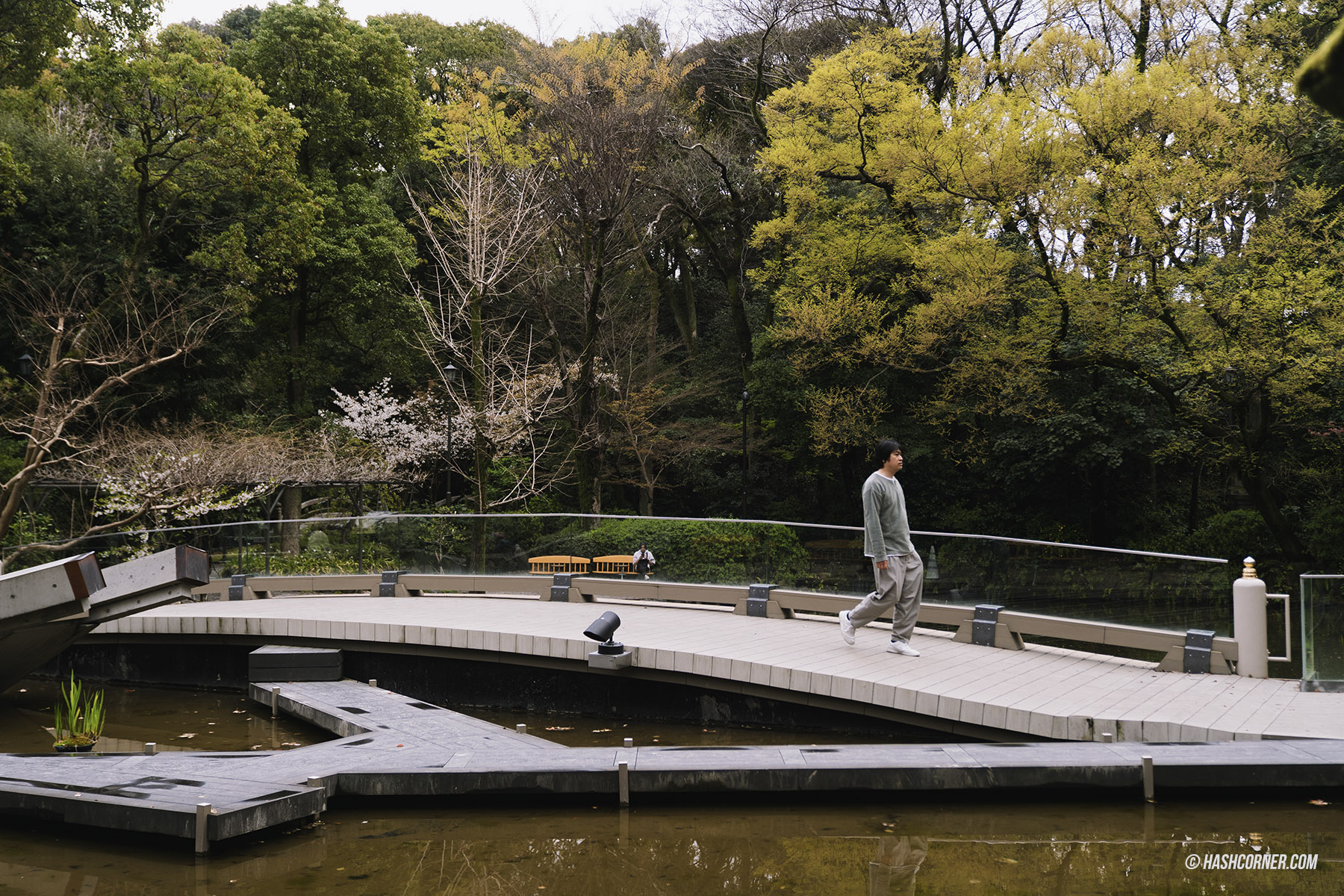 รีวิว นาโกย่า (Nagoya) x ญี่ปุ่น เที่ยวเมืองซามูไร ฤดูซากุระ