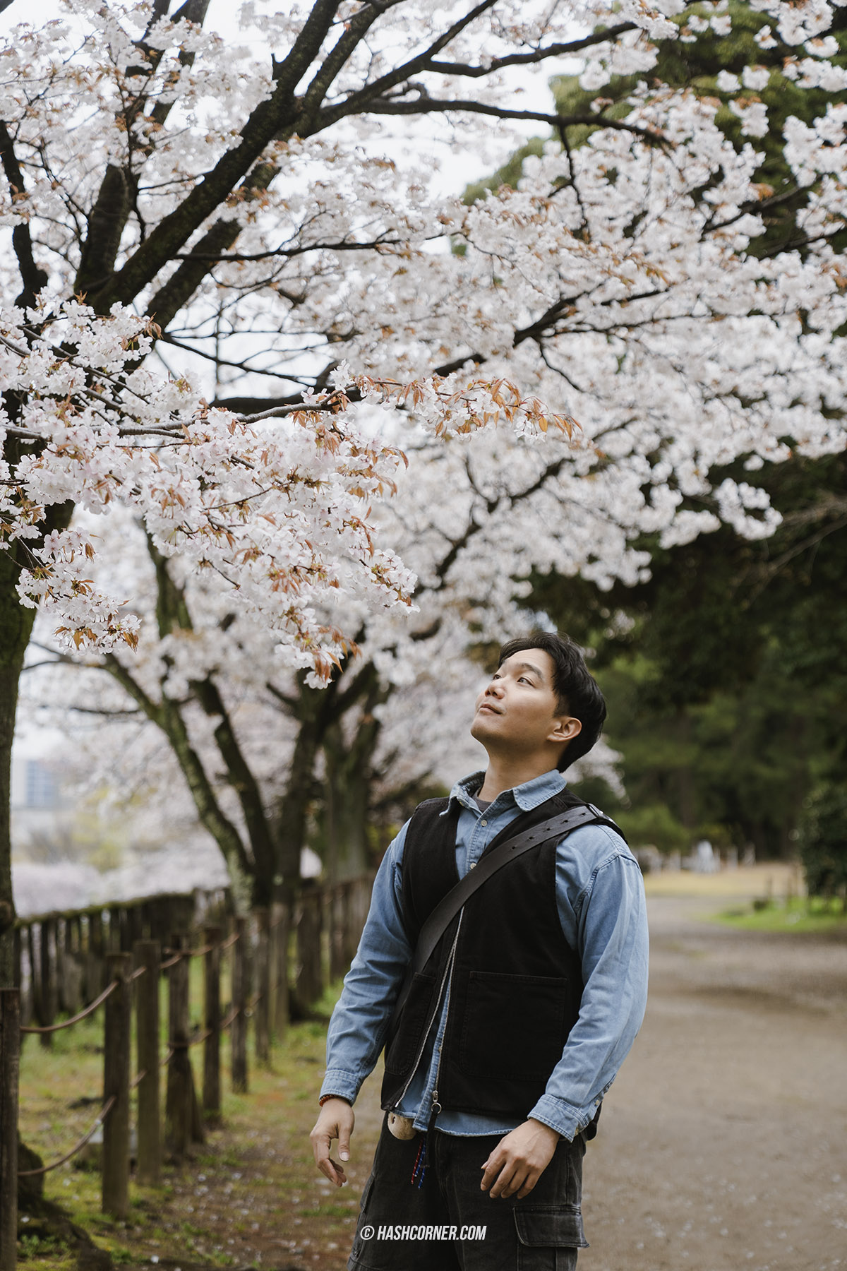 รีวิว นาโกย่า (Nagoya) x ญี่ปุ่น เที่ยวเมืองซามูไร ฤดูซากุระ