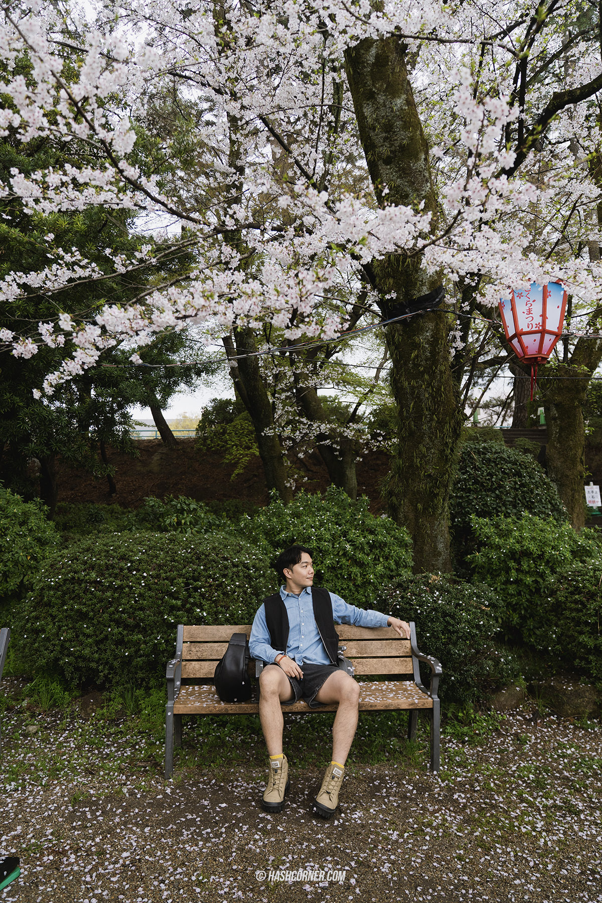 รีวิว นาโกย่า (Nagoya) x ญี่ปุ่น เที่ยวเมืองซามูไร ฤดูซากุระ