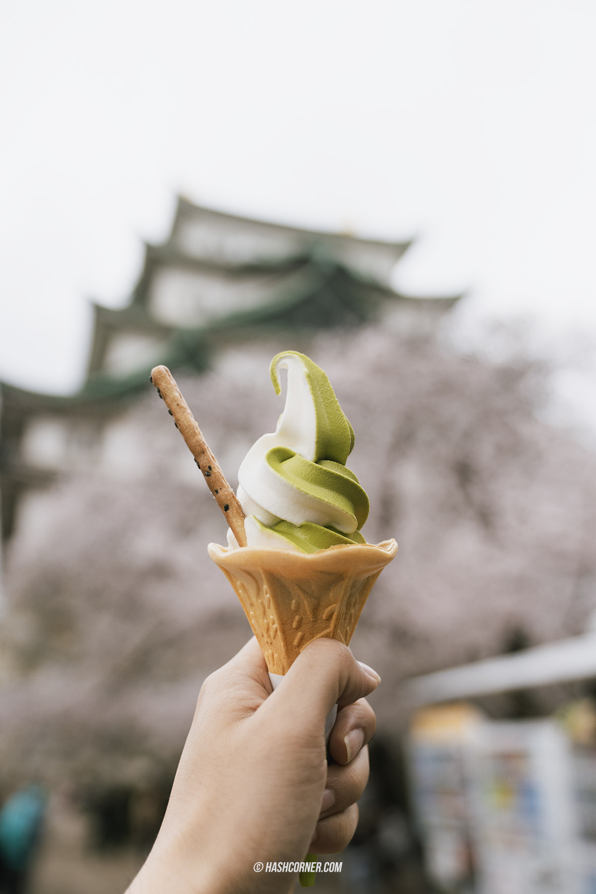 รีวิว นาโกย่า (Nagoya) x ญี่ปุ่น เที่ยวเมืองซามูไร ฤดูซากุระ