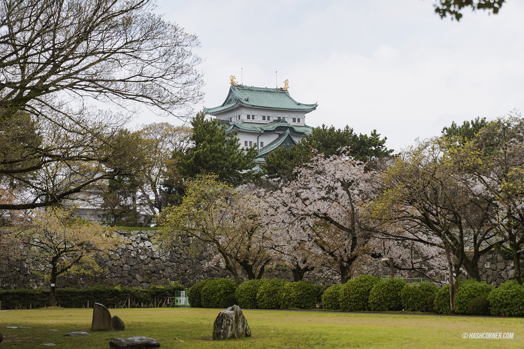 รีวิว นาโกย่า (Nagoya) x ญี่ปุ่น เที่ยวเมืองซามูไร ฤดูซากุระ