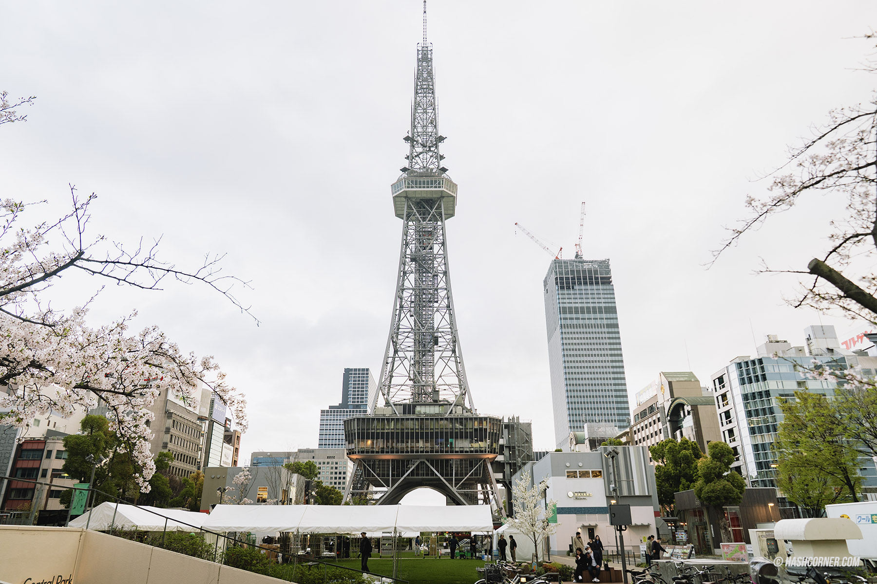 รีวิว นาโกย่า (Nagoya) x ญี่ปุ่น เที่ยวเมืองซามูไร ฤดูซากุระ