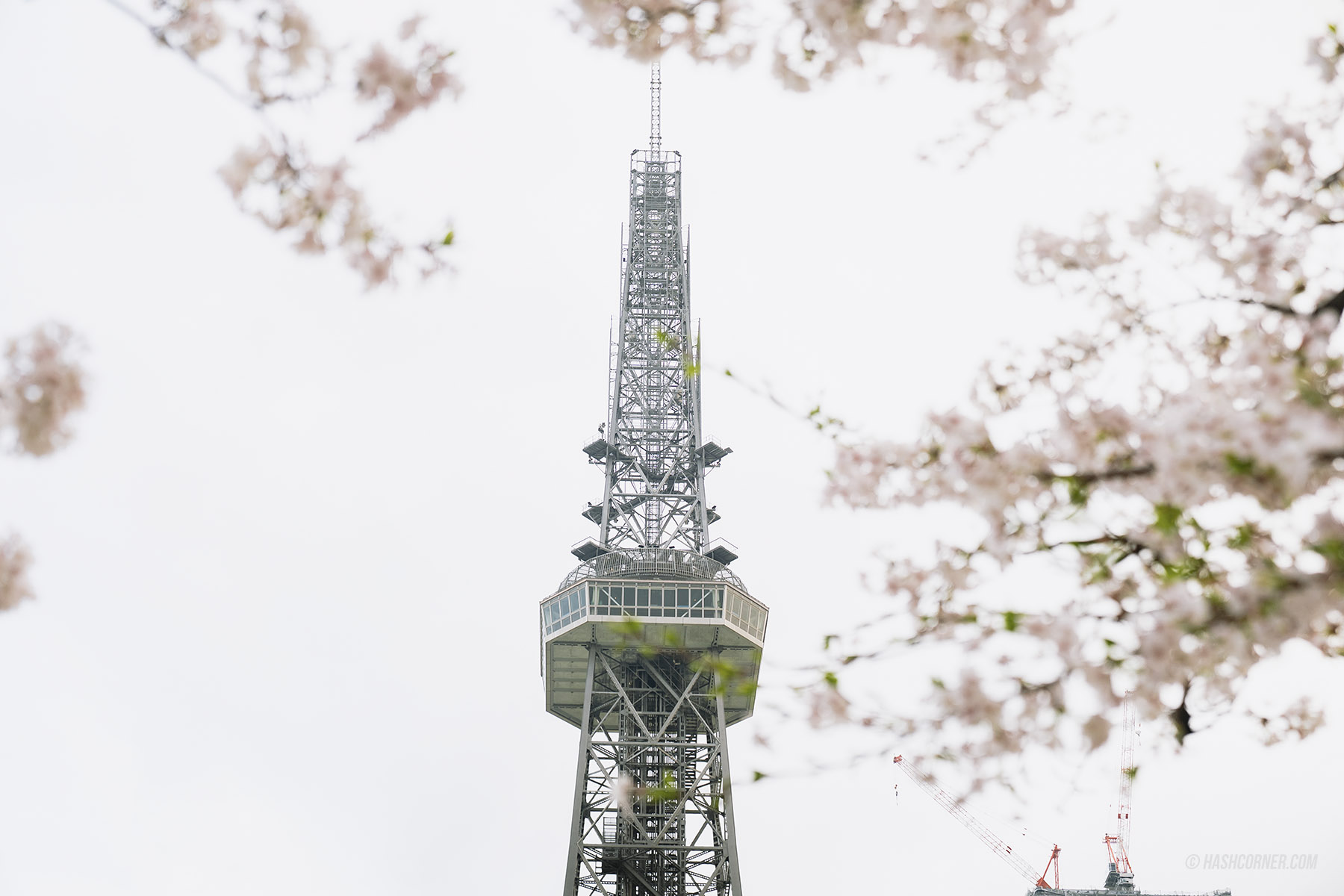 รีวิว นาโกย่า (Nagoya) x ญี่ปุ่น เที่ยวเมืองซามูไร ฤดูซากุระ