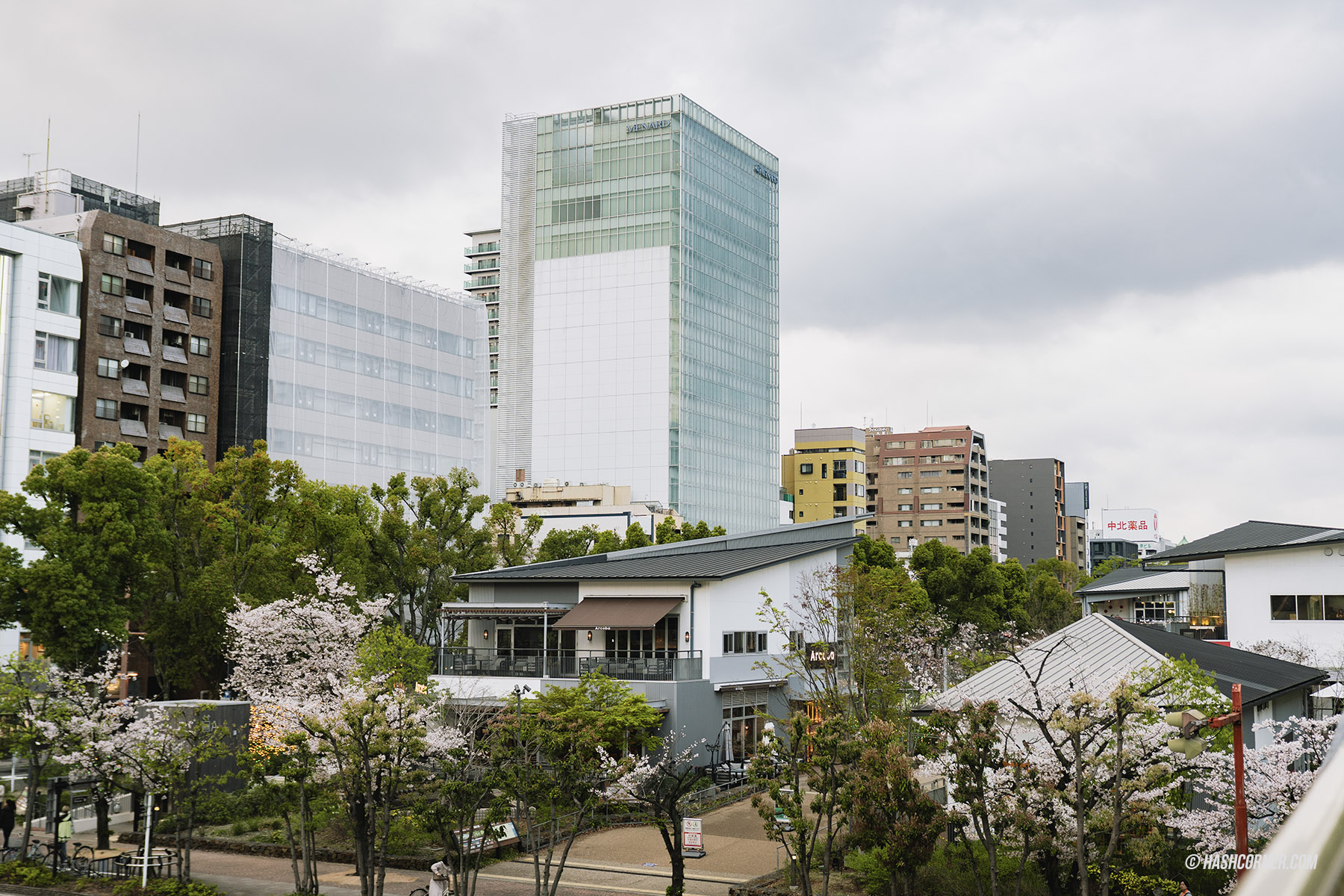 รีวิว นาโกย่า (Nagoya) x ญี่ปุ่น เที่ยวเมืองซามูไร ฤดูซากุระ