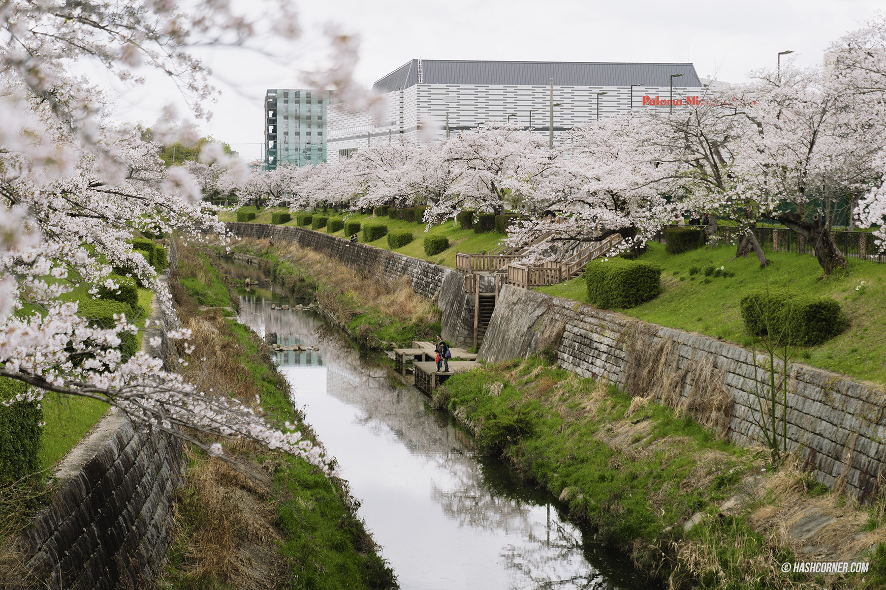 รีวิว นาโกย่า (Nagoya) x ญี่ปุ่น เที่ยวเมืองซามูไร ฤดูซากุระ