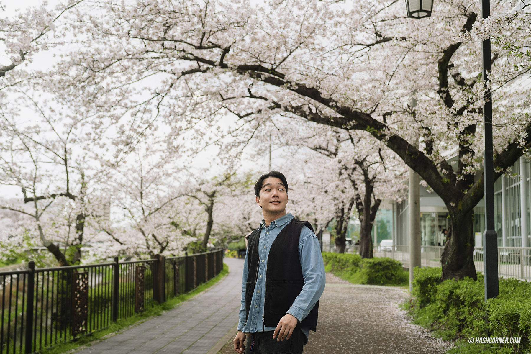 รีวิว นาโกย่า (Nagoya) x ญี่ปุ่น เที่ยวเมืองซามูไร ฤดูซากุระ