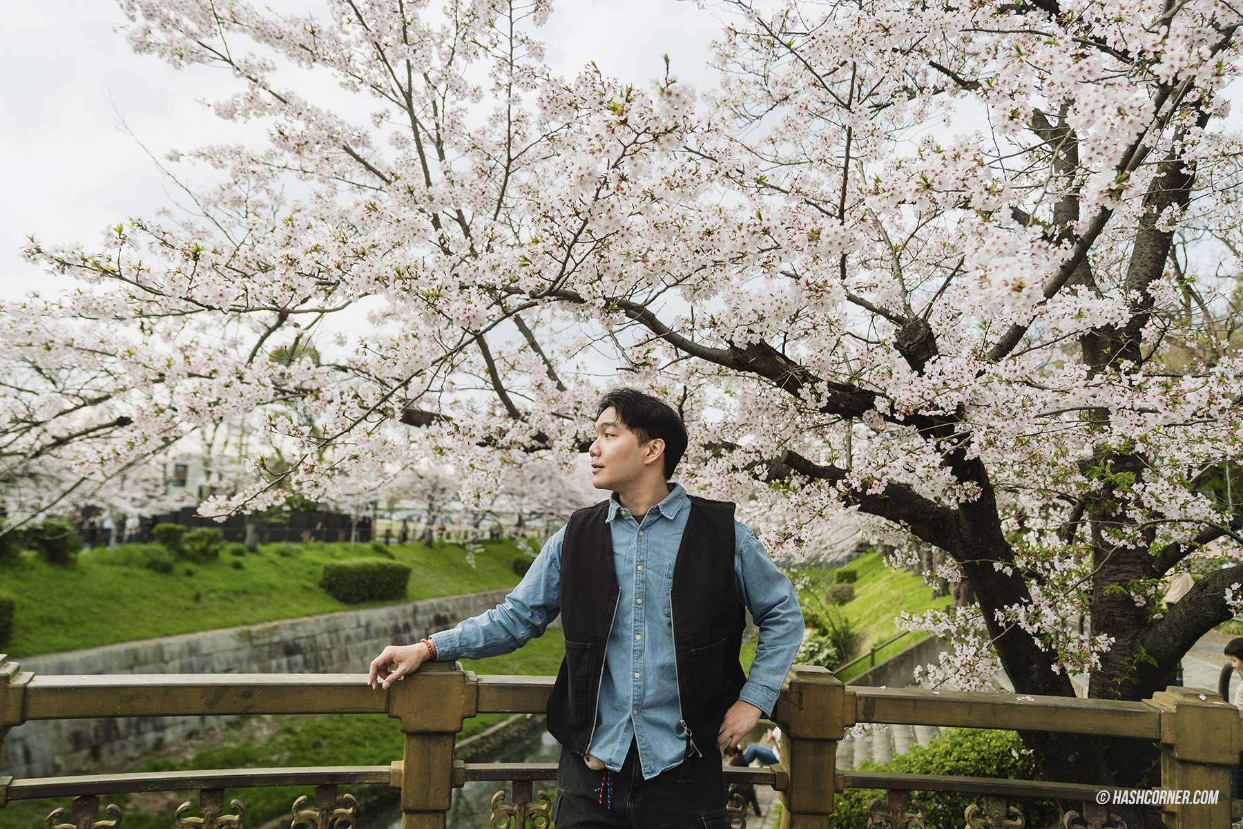 รีวิว นาโกย่า (Nagoya) x ญี่ปุ่น เที่ยวเมืองซามูไร ฤดูซากุระ