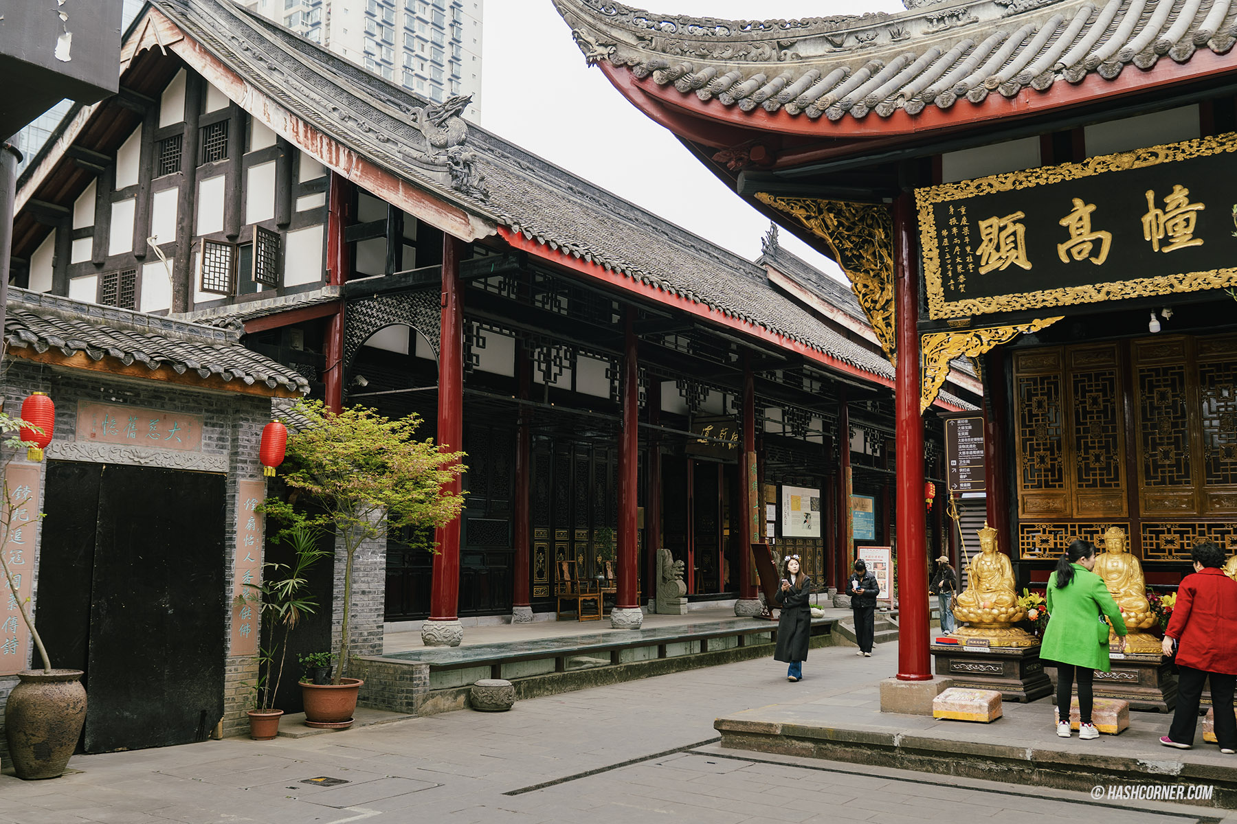 成都旅遊攻略 2026|大熊貓、太古里、寬窄巷子與成都必去景點