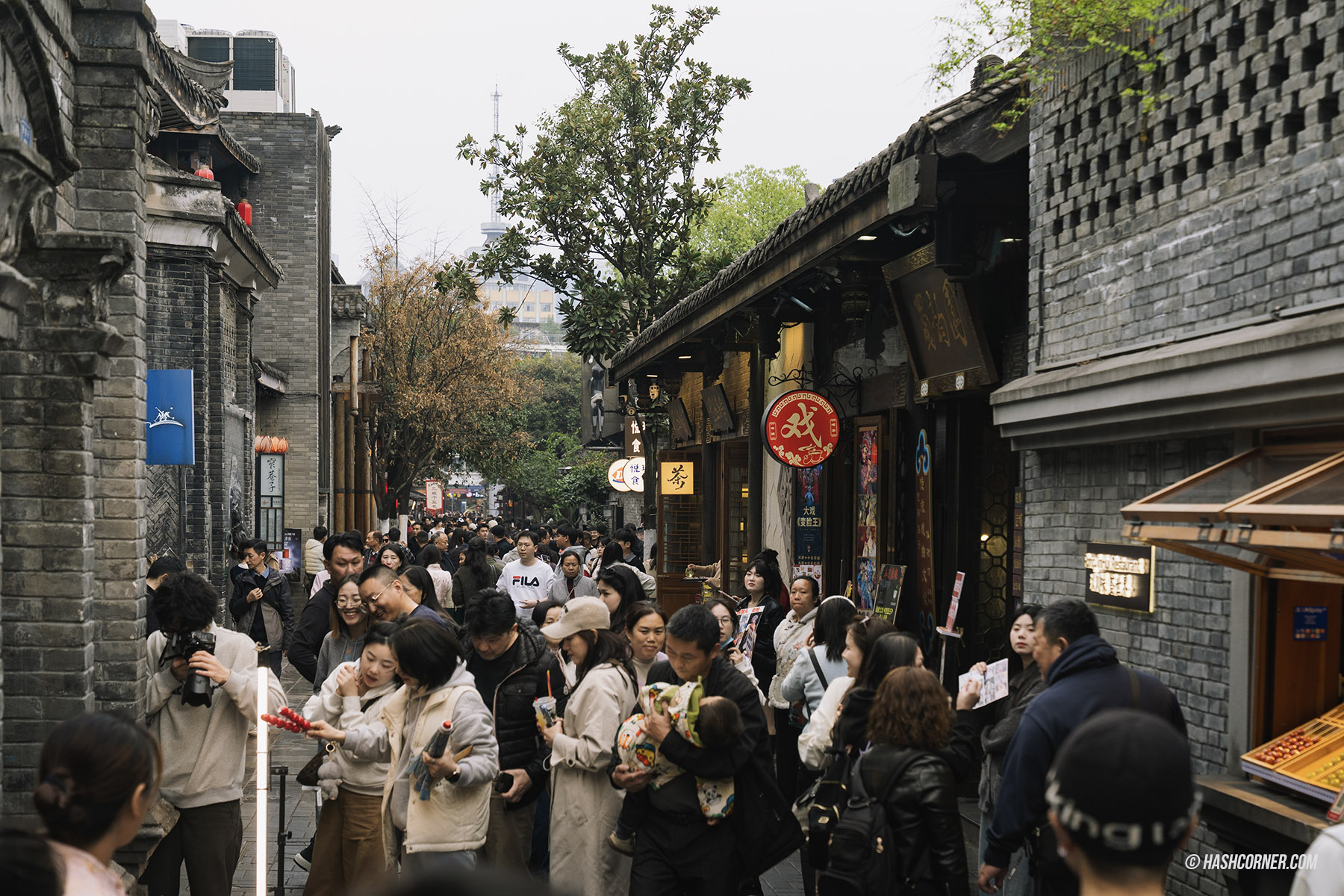 成都旅遊攻略 2026|大熊貓、太古里、寬窄巷子與成都必去景點