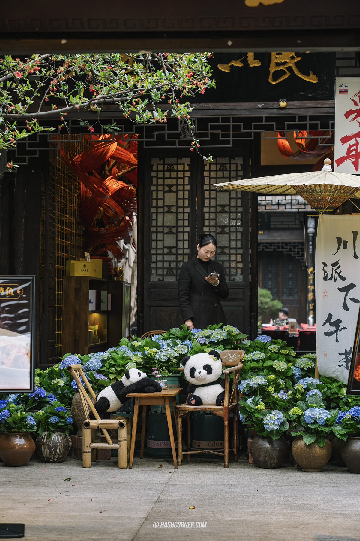 成都旅遊攻略 2026|大熊貓、太古里、寬窄巷子與成都必去景點