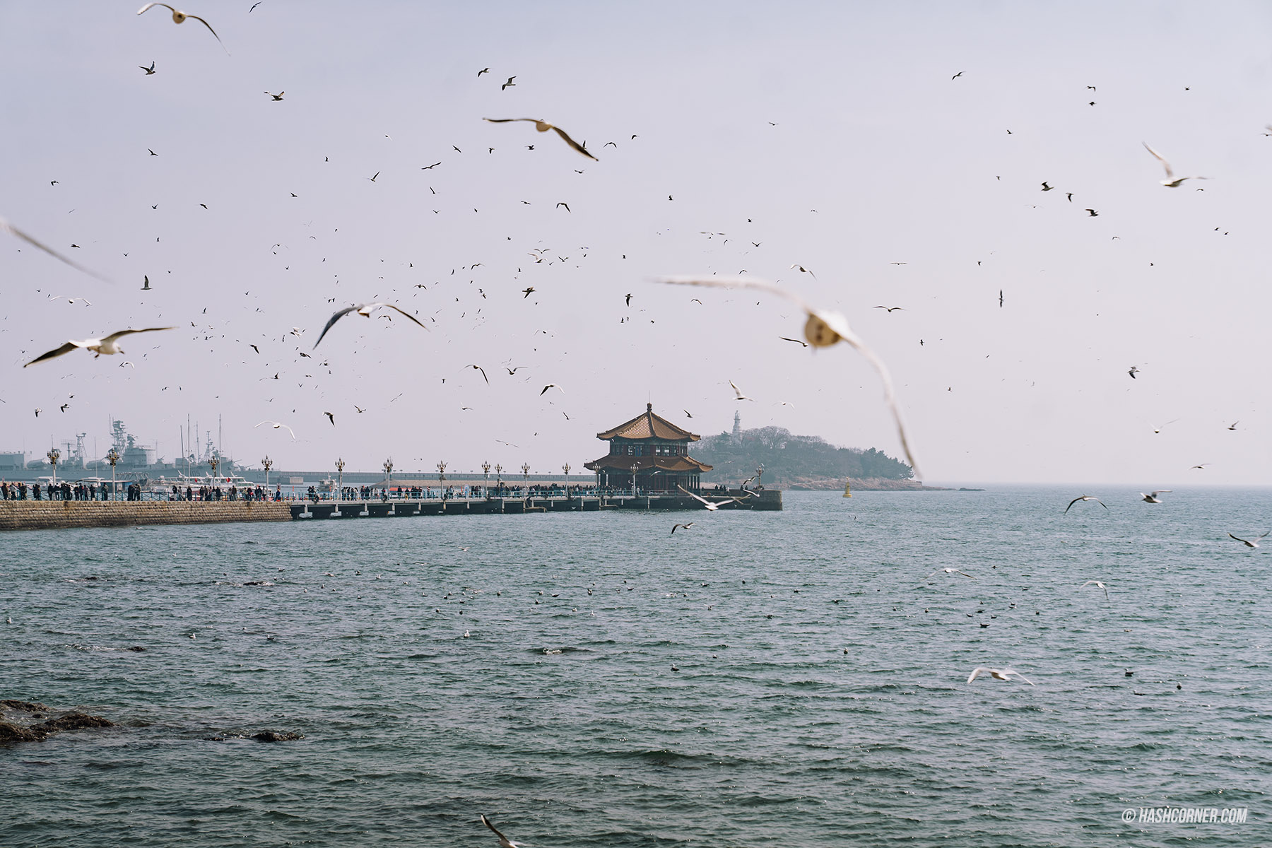 青島旅遊攻略 2026|必去景點、海景咖啡、德式老城與歐風海濱城市散策