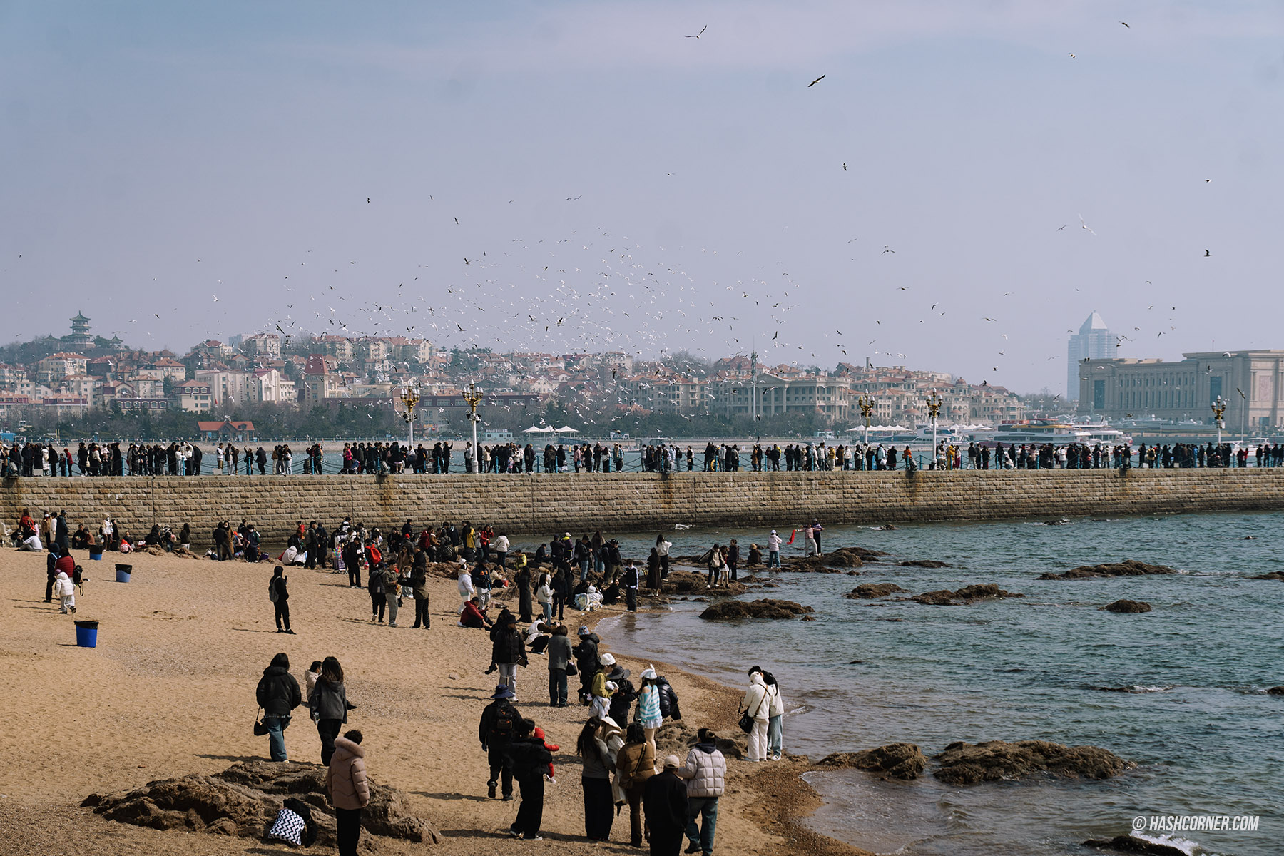 青島旅遊攻略 2026|必去景點、海景咖啡、德式老城與歐風海濱城市散策